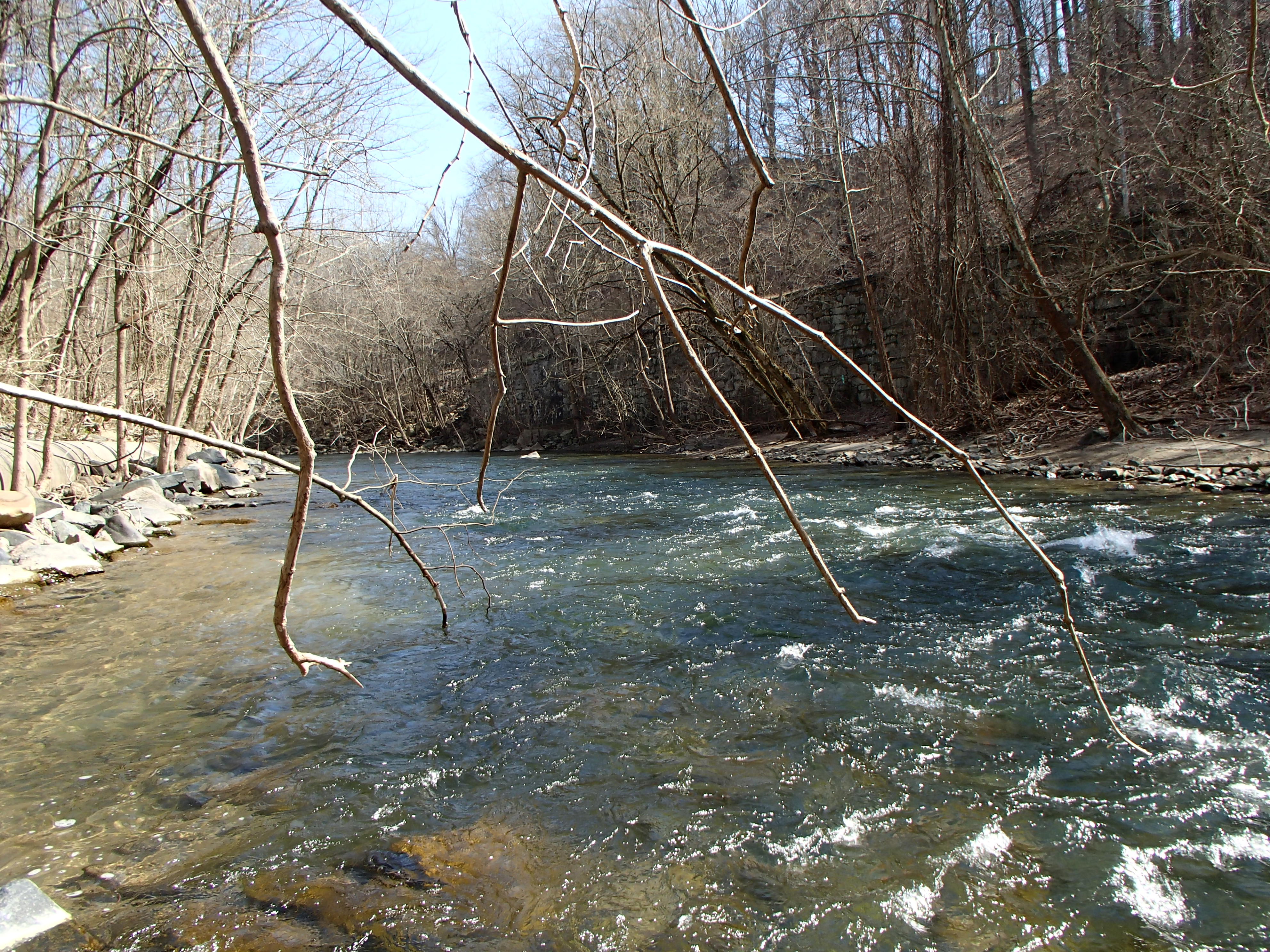 Field photo showing stream conditions at site PATL-502-X-2016_midpoint looking downstream